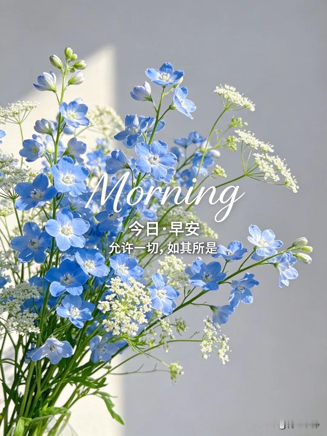 🍎²⁰²⁶/₀₄.₂₉周三早安☀️
🍃Hello, April🍃
人间四月