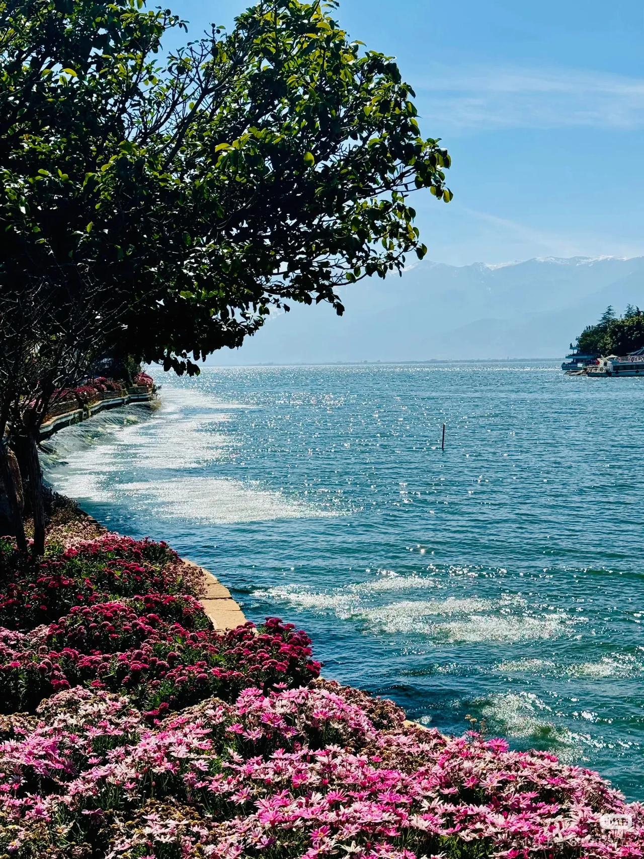 不是在国外！真的在大理！

夏季来大理，正好可以避开酷暑，享受一个平均22℃的清