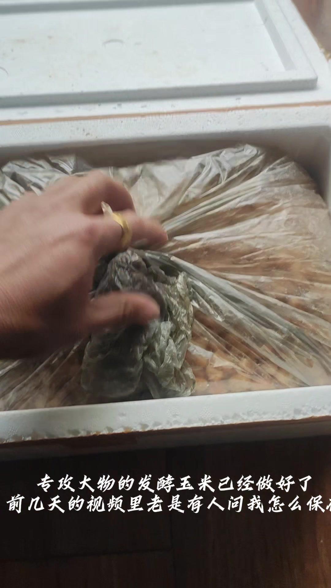 大物发酵玉米怎么保存？专攻大物的发酵玉米终于做好啦！打开满满的甜酒香，这味道绝了