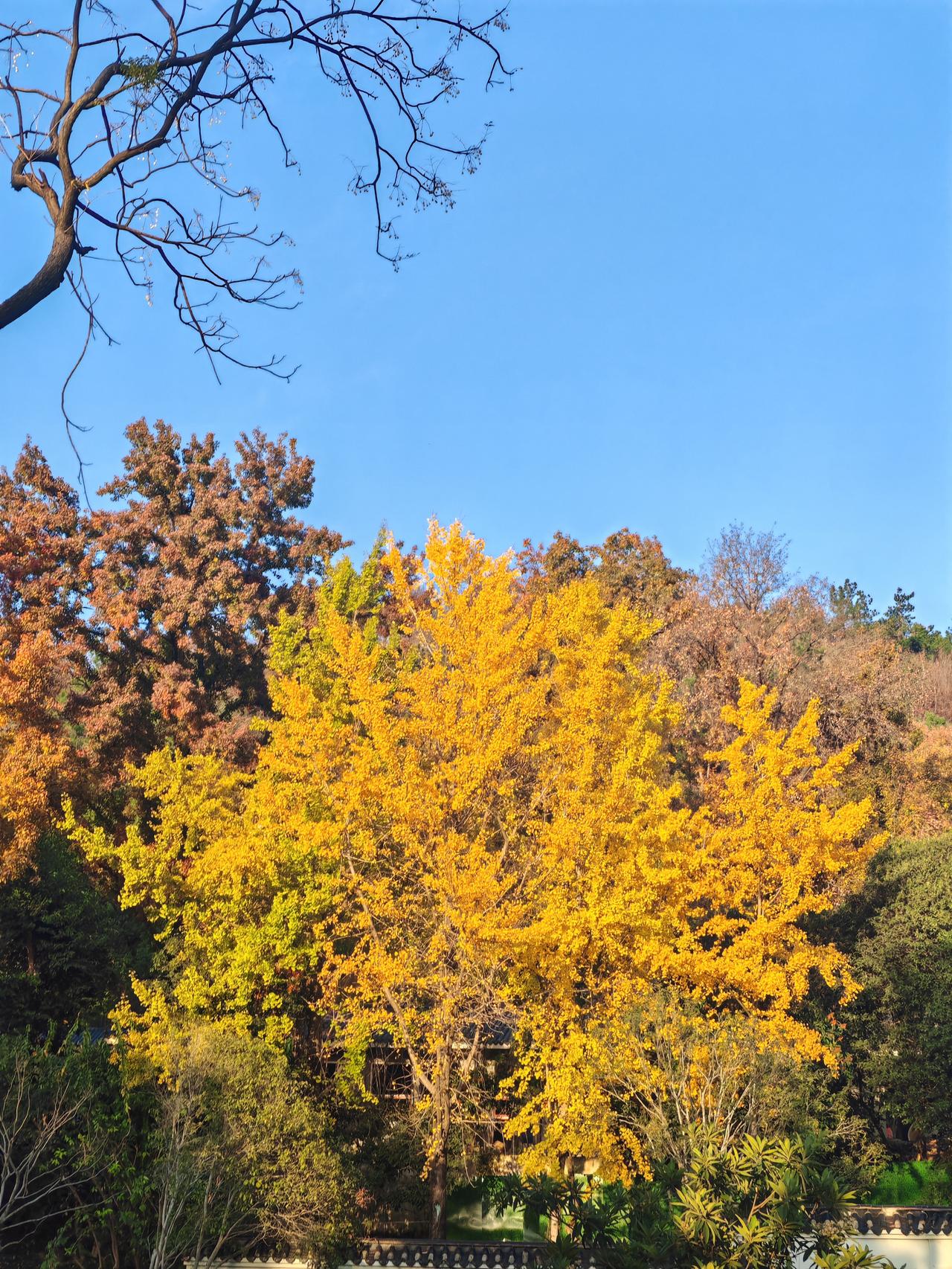 冬日生活打卡季周末的午后，阳光灿烂，虽然是冬天，但气温还比较适合户外游玩。我们到