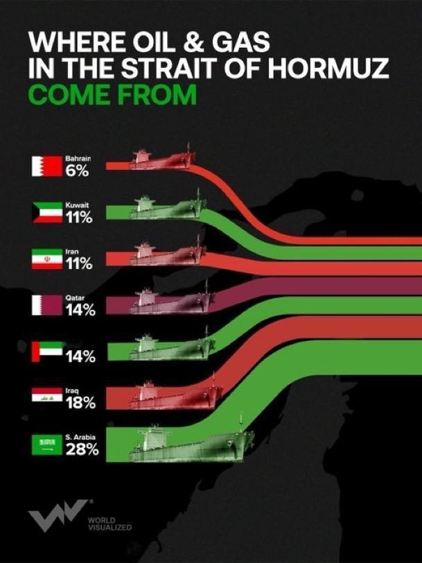 ⛽️ 通过霍尔木兹海峡的石油和天然气来自哪里

🇧🇭 巴林 — 6%
🇰?
