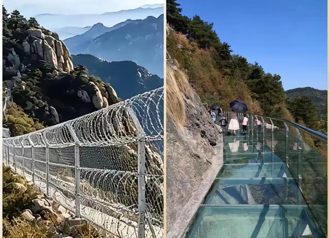 据说某某景区为了防火防虫，用135公里刀片隔离网把大山围了起来，在舆论压力下，据