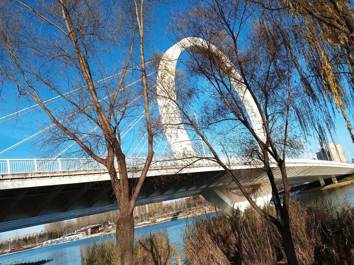 别再问周末去哪了！郑州这些宝藏公园不可错过→