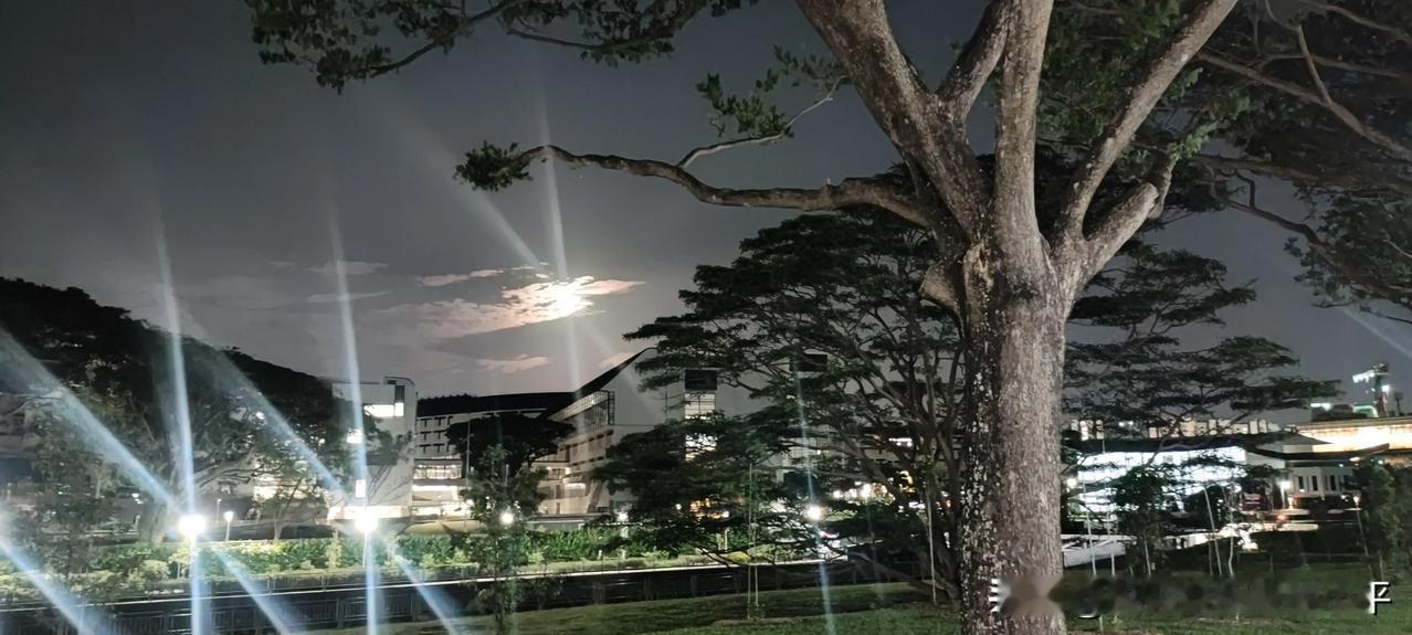 今夜新加坡的月亮与中国的一样圆吧？