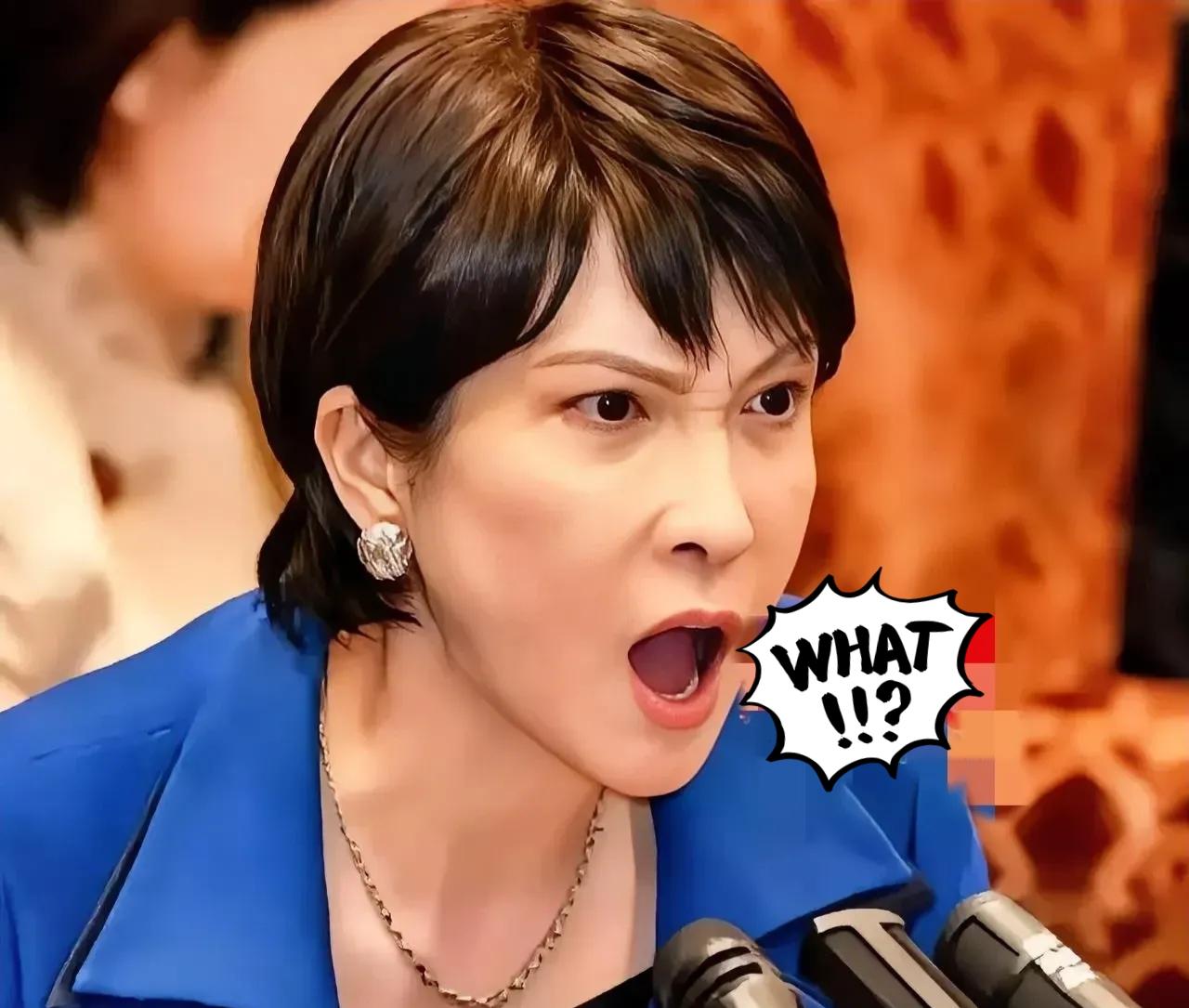 日本政府又做了一件蠢事！

日本政府内阁会议11月30号正式批准了2025年度防