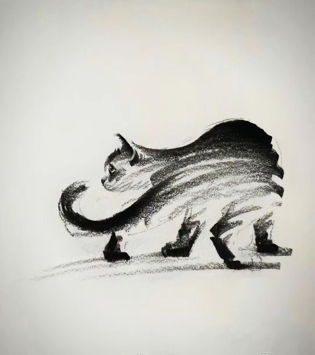 波斯猫，在外观上看，犹如一头小狮子。现在的伊朗被外界形象地称为“波斯猫”。