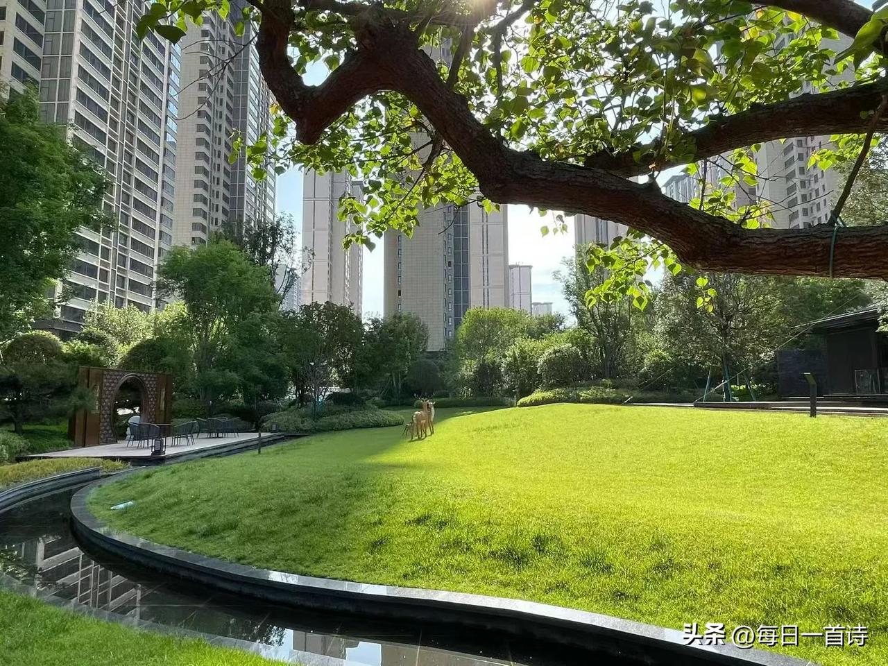 关于春天

花信

风把冬天轻轻合上
花朵便在枝头
写下第一行春的诗
粉的、白的