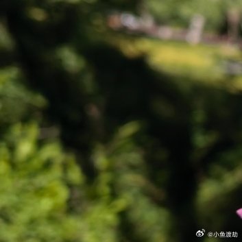 半生走过，才明白攀比是中年痛苦的源头。刷朋友圈，看同龄人升职、买房、子女优秀，不