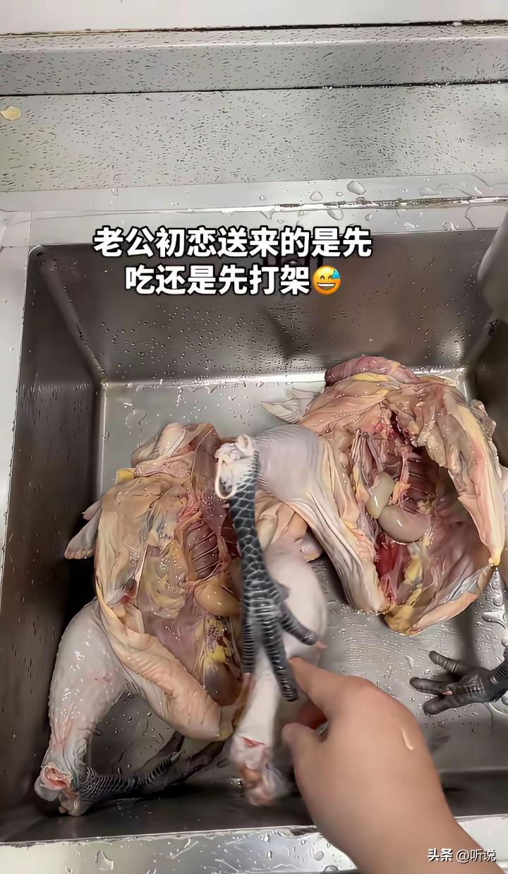 初恋这么懂事，其他的女朋友不表示一下？