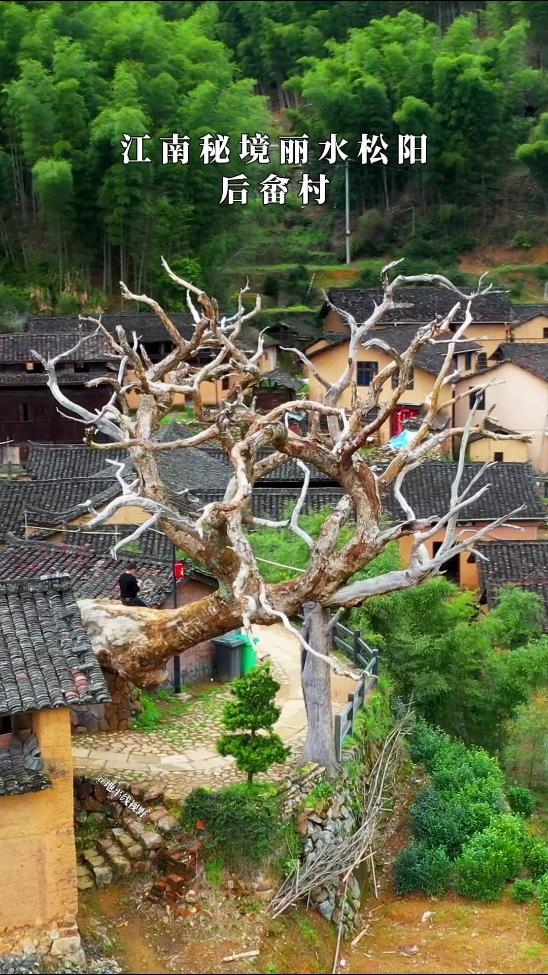 🌿在丽水松阳发现一个被时光遗忘的宝藏村落——后畲村。这里没有过度商业化的痕迹，