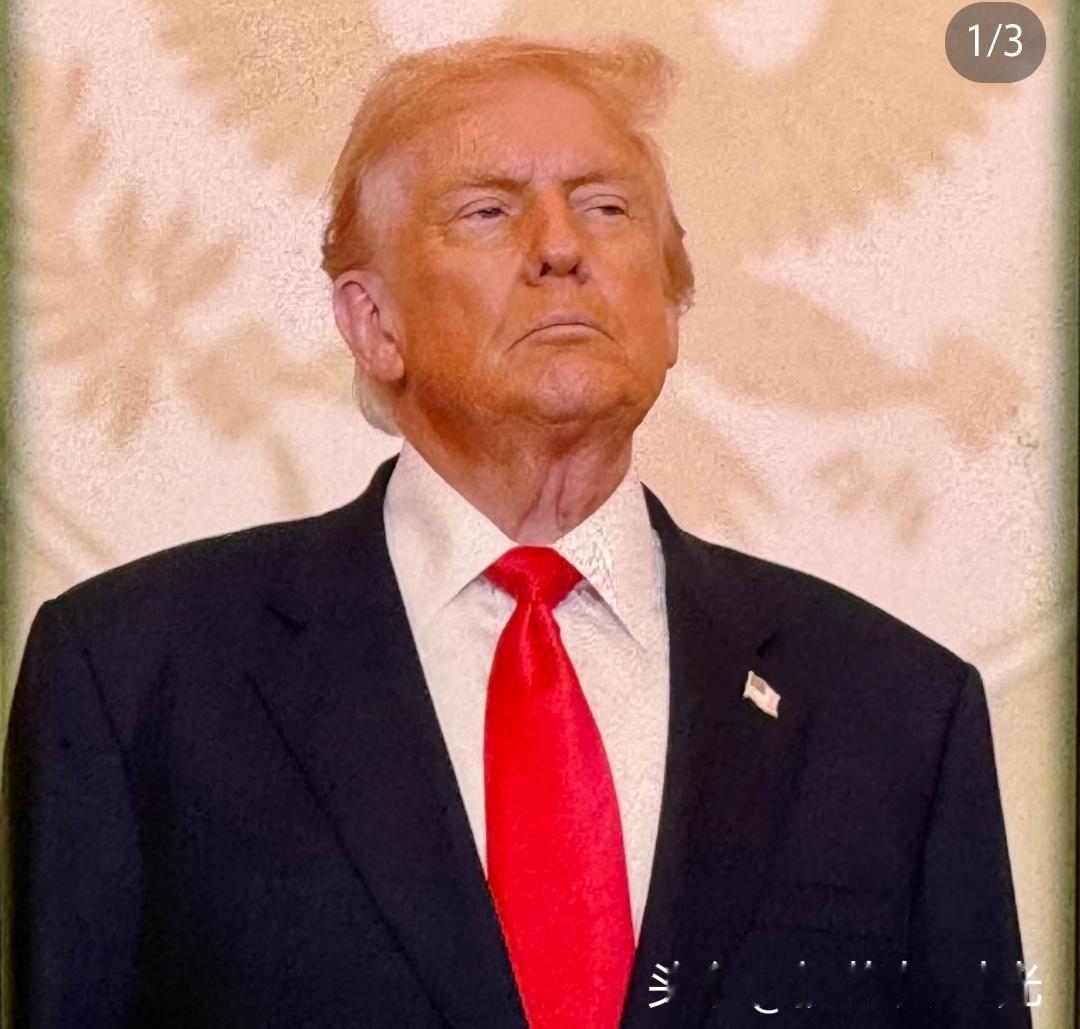 快讯！快讯！
特朗普再抛俄乌和平新说法！欧洲主导安全+矿产协议回款？藏着大算盘