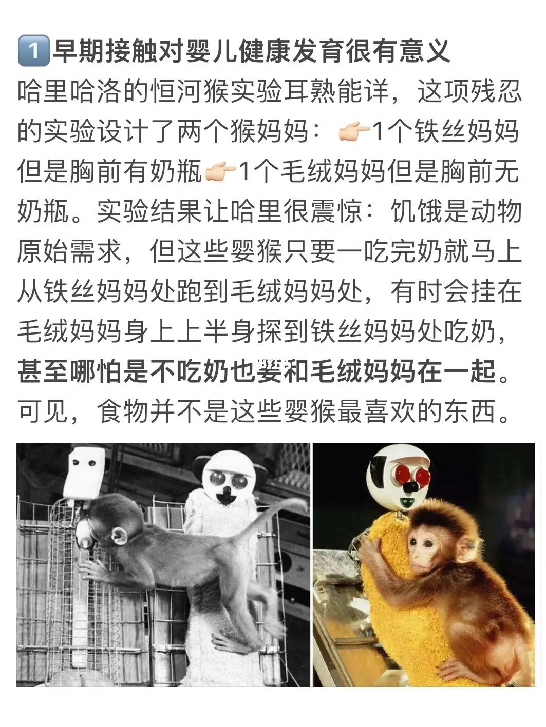 神奇！揭秘小婴儿大脑发育的7大经典实验