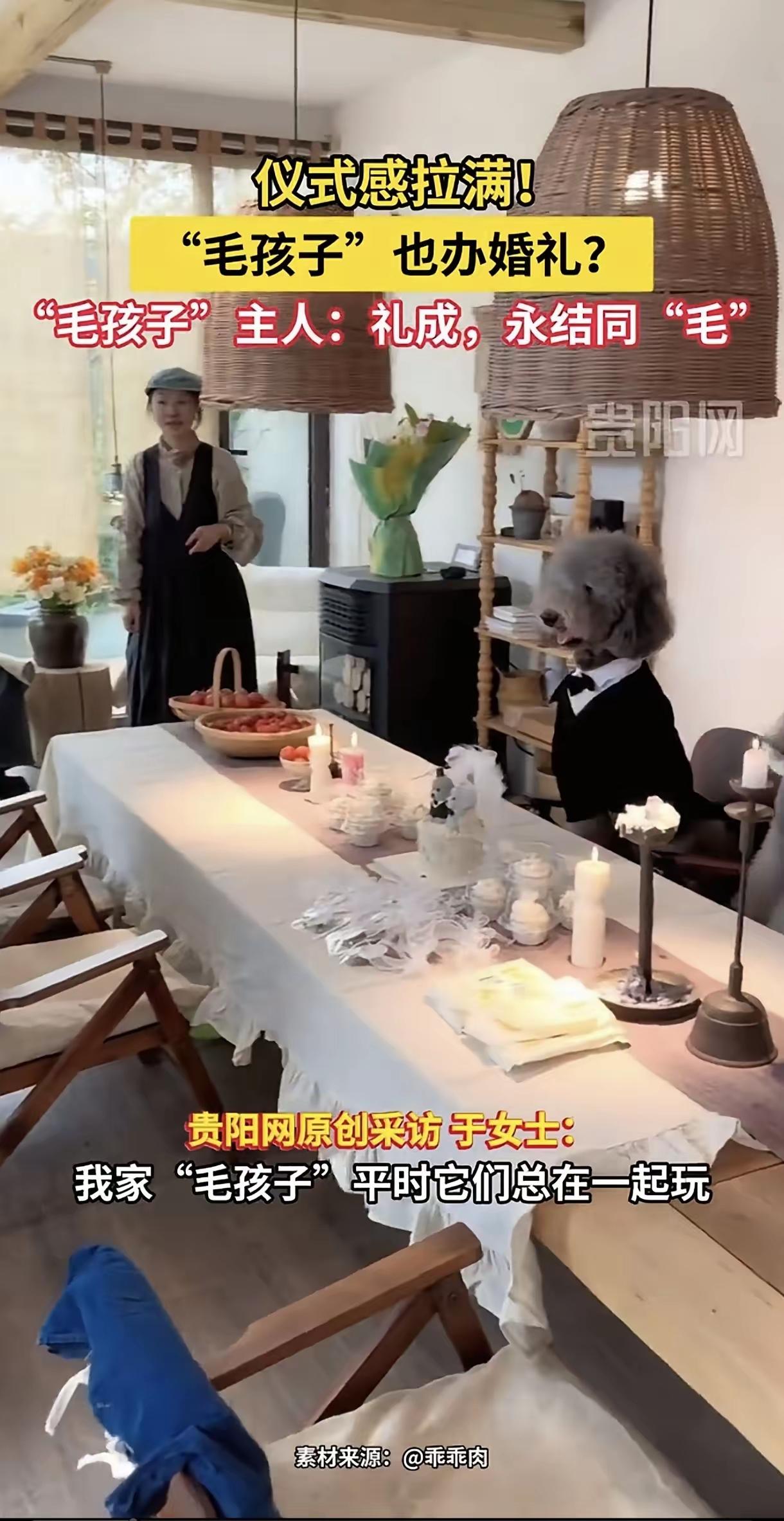 “还是吃的太饱了！”女子包餐厅给宠物狗举办婚礼，还请歌手烘托气氛，网友绷不住了：
