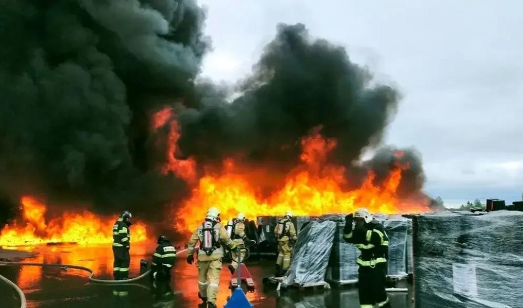 胆大包天，敢在普京头上动土，爱沙尼亚强扣23名俄罗斯船员，这是吃了豹子胆？

据