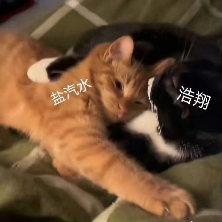 我要宝严浩翔一辈子