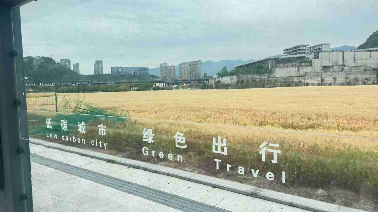 状态：😁轻松愉快  天气：☀️晴天
昨日发了一个有关麦地的朋友圈，表达我对终于