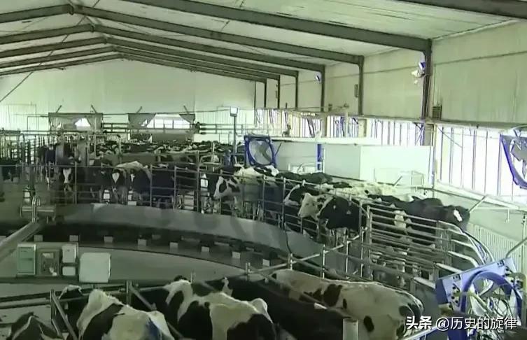 中国每年千万吨米糠原本只能喂猪，如今变身高端食用油，链博会揭秘农业废料如何垃圾变