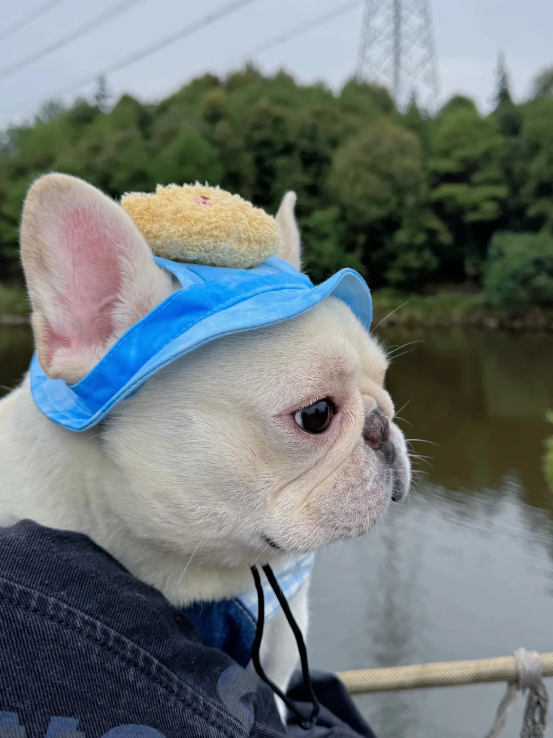 国庆的照片憋着不发是会过期的☀️