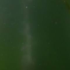 每日一善 阳光信用 以善心发自内心的让异质化于自己。以爱心对待世界在培养着欢笑声