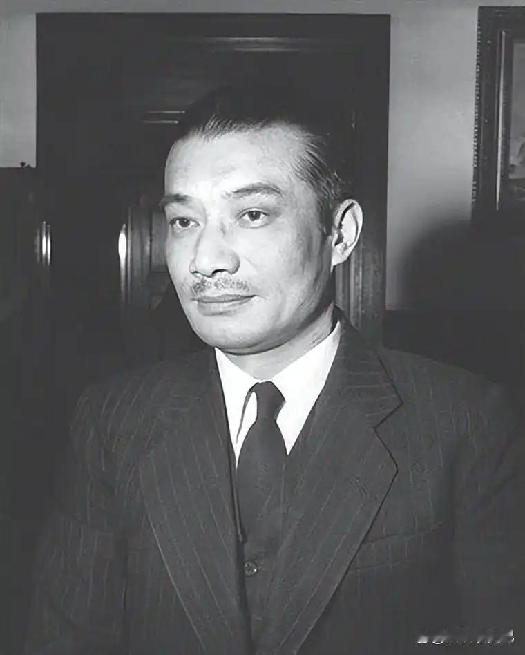 东京审判会上，中国法官官梅汝璈说——“要不咱们按体重排吧，谁胖谁坐中间！”
19
