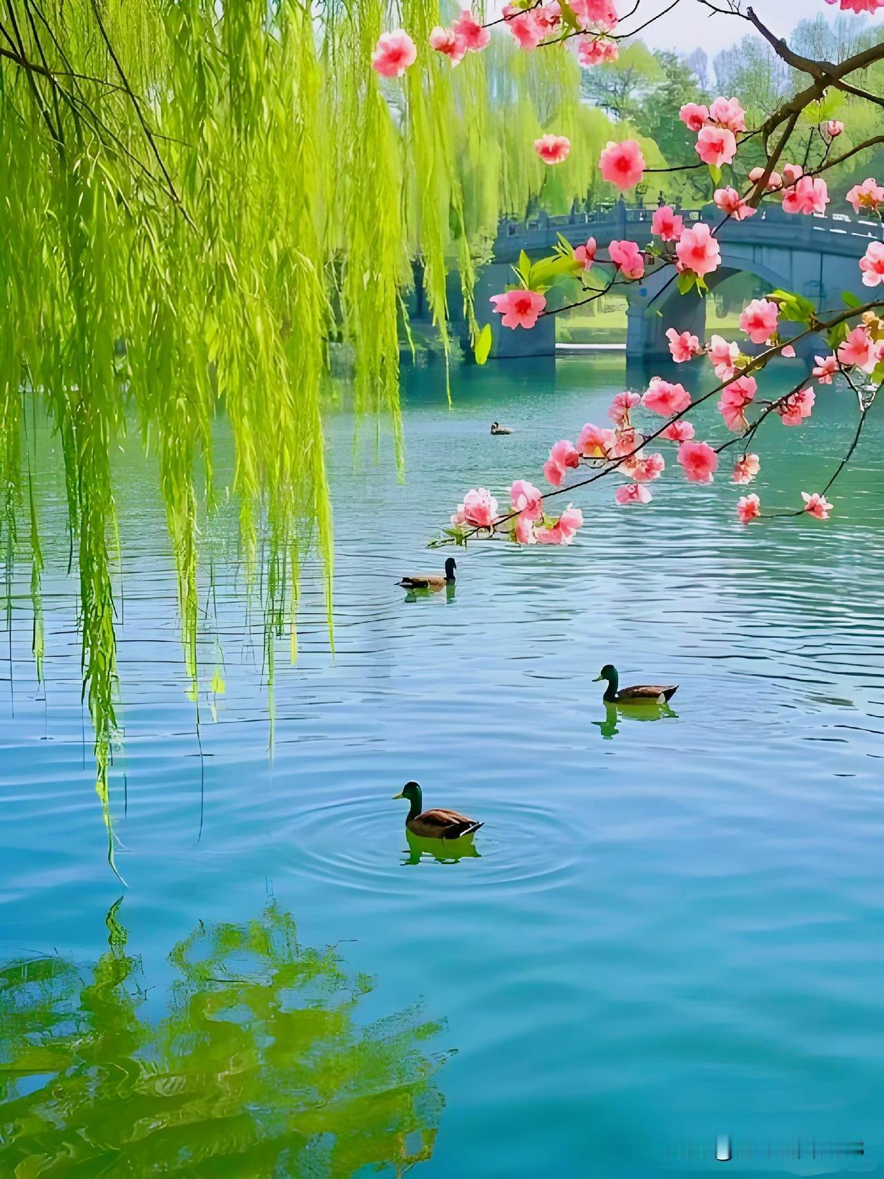 上联:春风拂绿叶(原创)
下联:秋雨润黄花(头条)
(网图侵删)