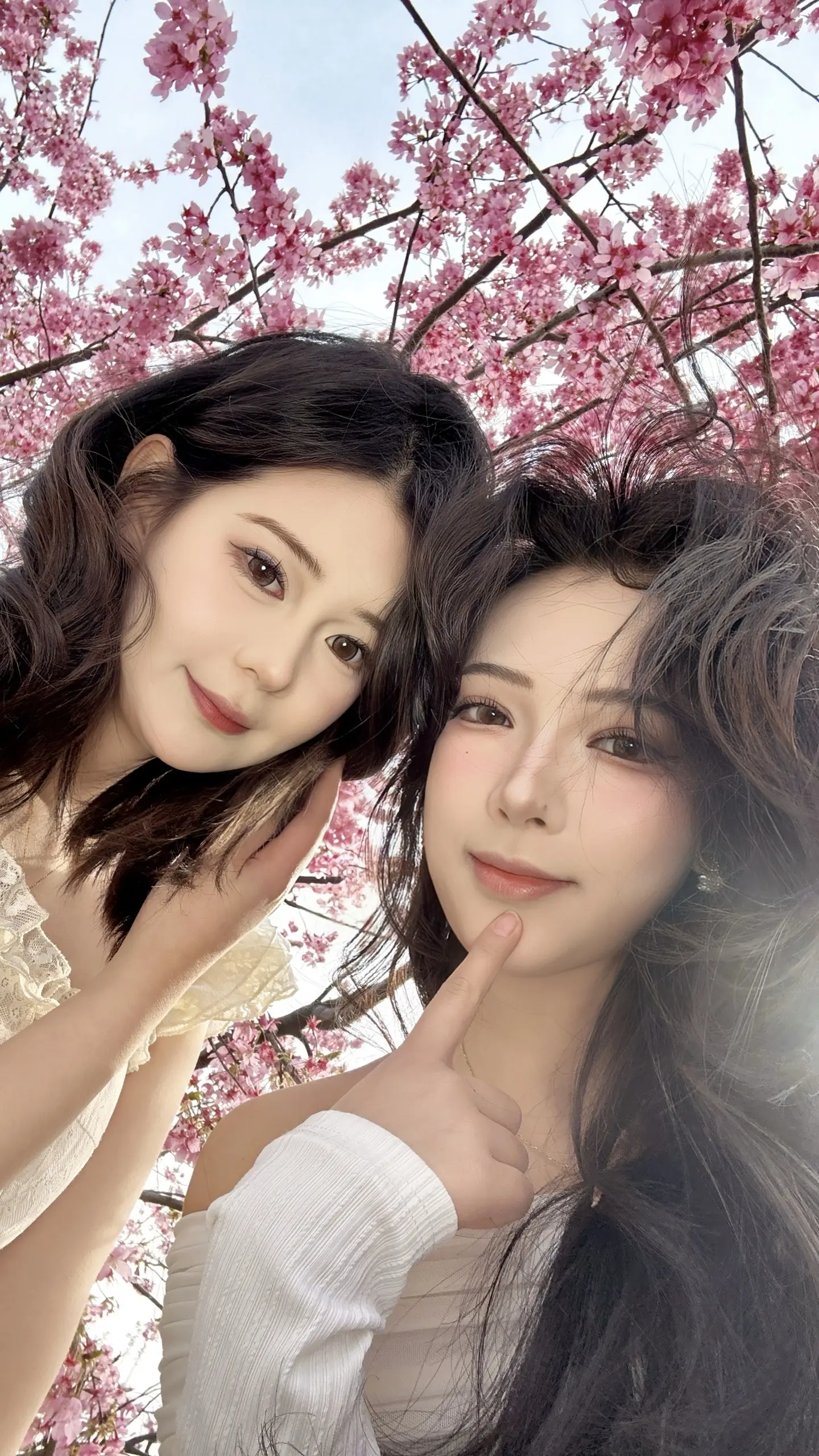 我想要的一定会得到 包括你 姐姐