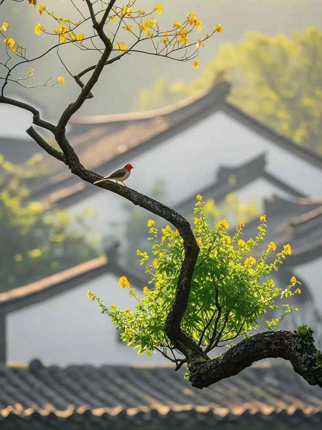 阅读和家庭是好的教育的两大基石
一个人的阅读史就是他的精神发肓史，一个民族的阅读