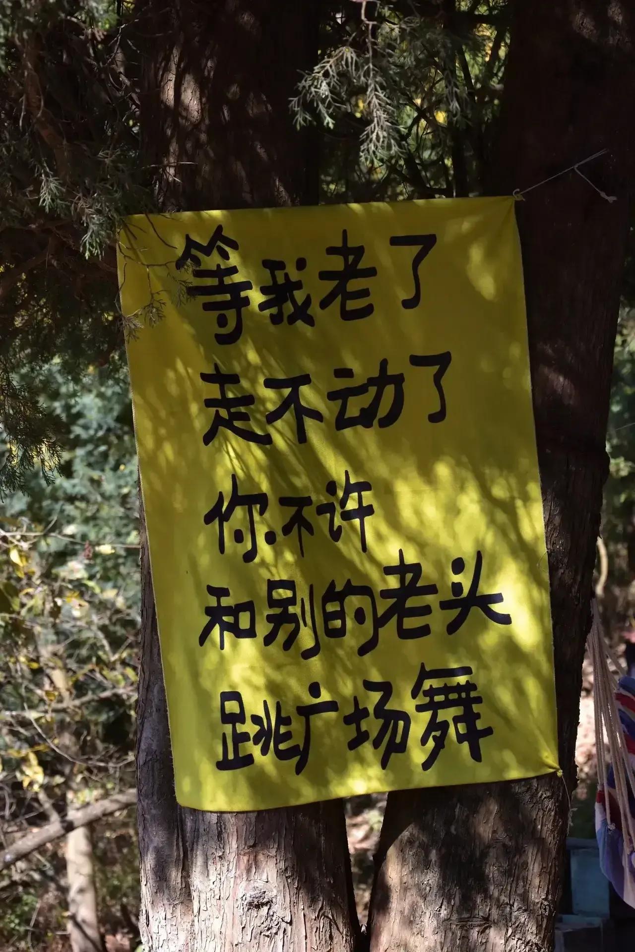 这难道就是传说中那真正的爱情？
#这可真是真爱啊# 
#老爷爷的幽默# 
#老了