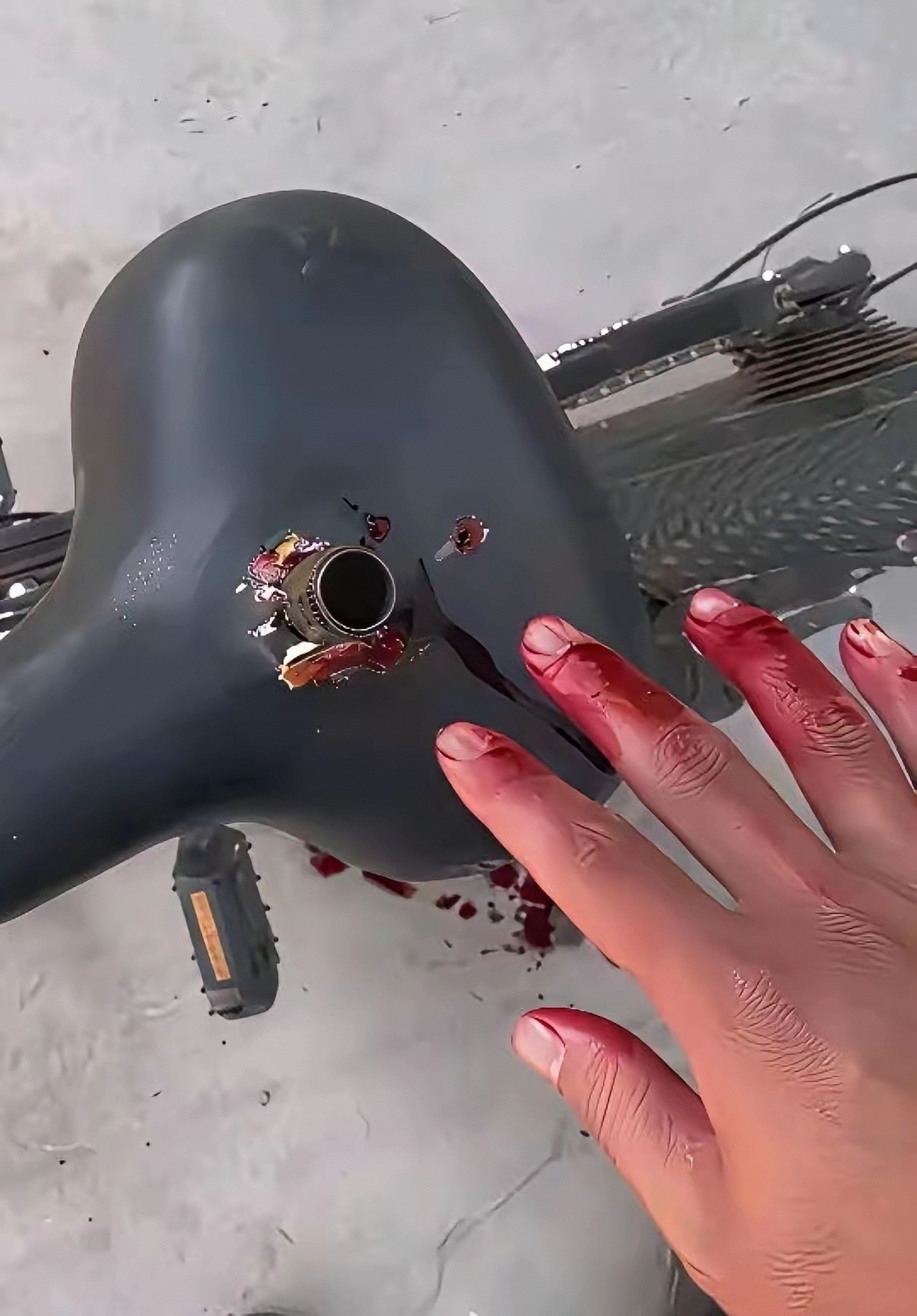 浪姐排名 最害怕的事情还是发生了！ 