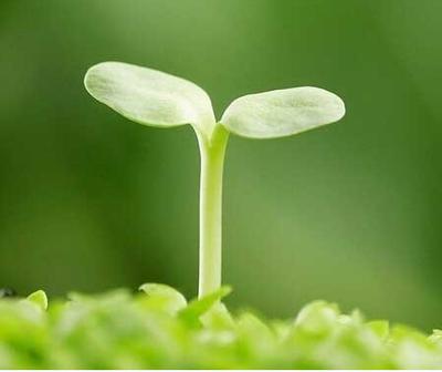 当下，我之所以敢在头条上写点儿东西，不是因为我的学历有多高，文笔有多好，更不是我