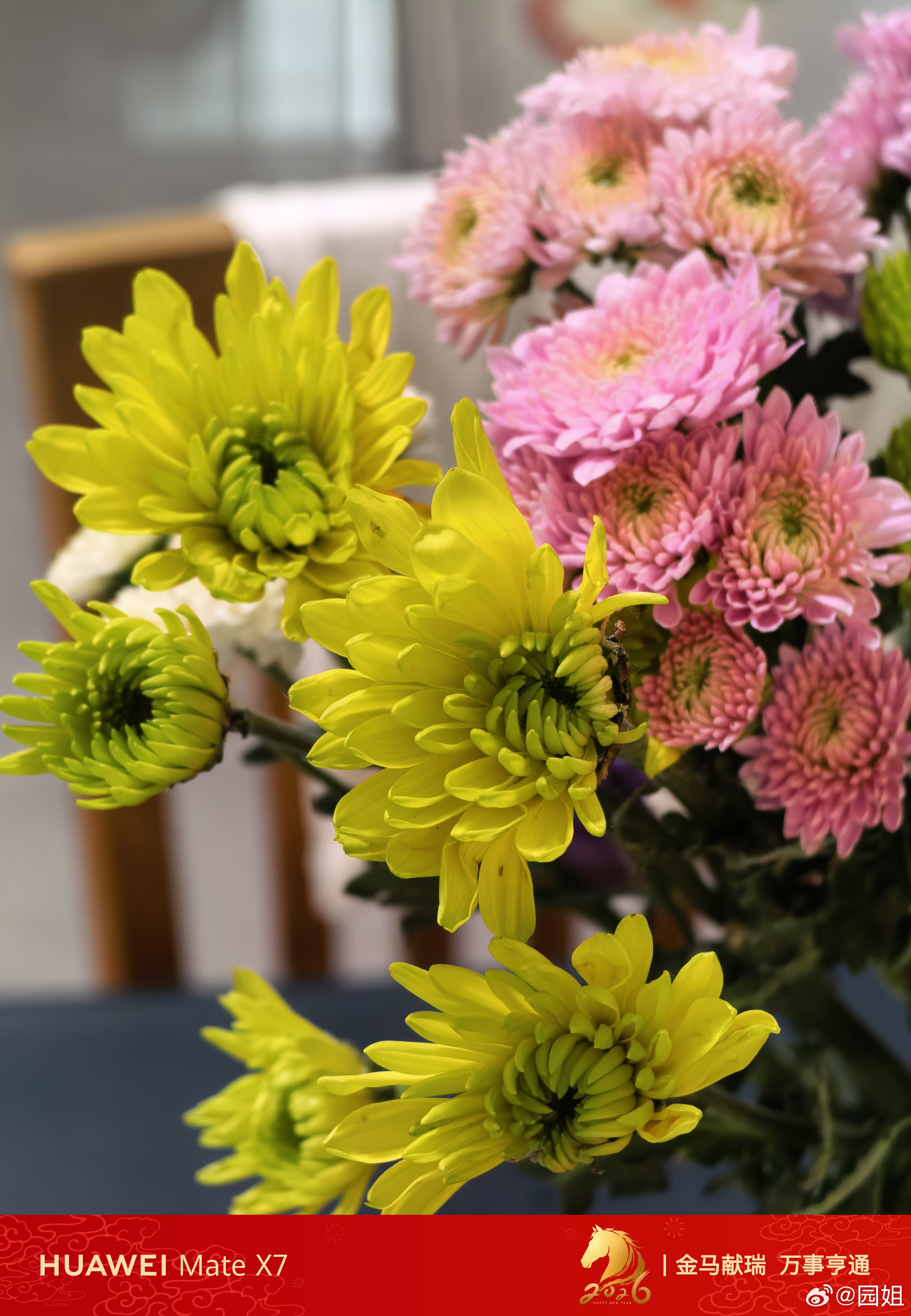 现在网购鲜花不错，便宜不贵，家里摆点看起来很有生活，前几天我买的玫瑰，有一只在瓶