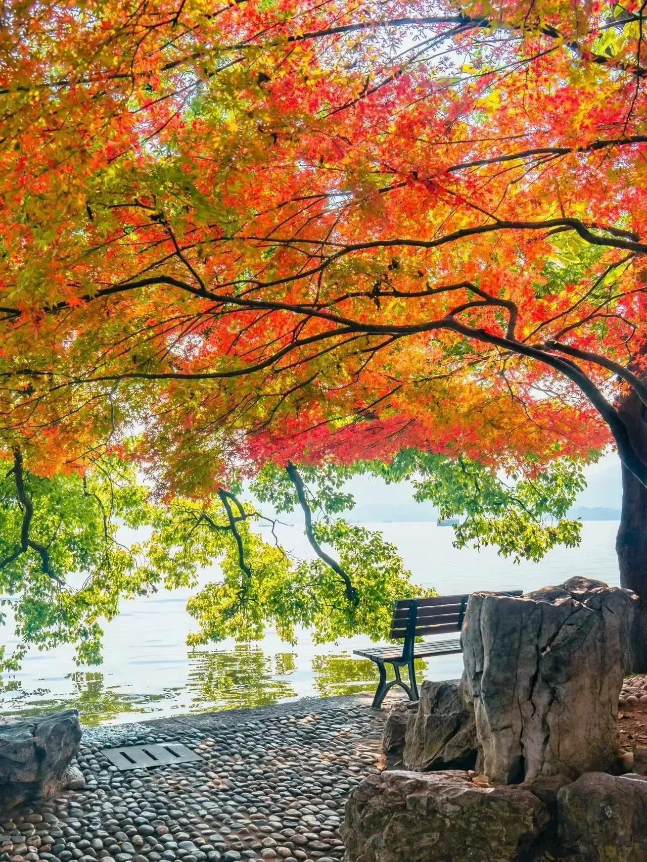 #人一辈子,哪一天最美好?#笔者十分欣赏人民日报这段话：“一眨眼就是一天，一回头