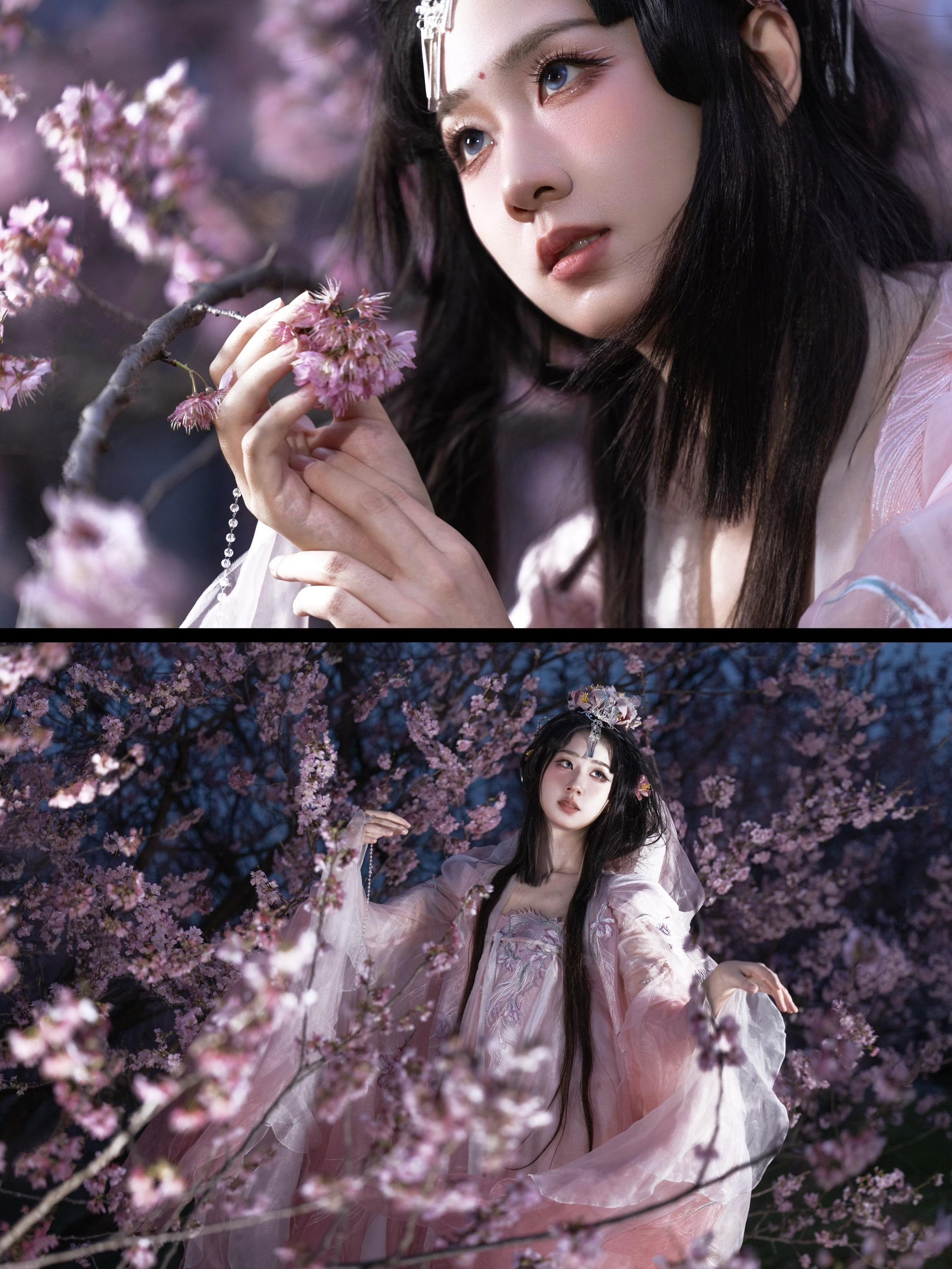 ‘ 那天、我误入她的梦境 ’杭州你有这样的樱花不宣传，你糊涂惹 周末也...