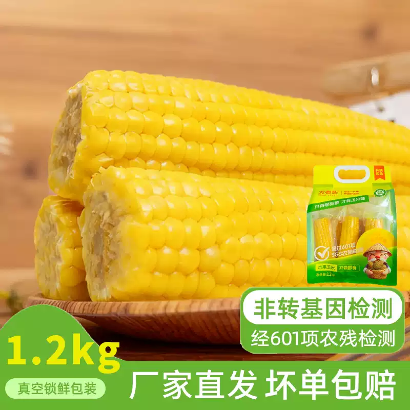 🌽内蒙古沙土地水果玉米 3小时鲜制｜开袋即食 稍微加热一下口感更棒源自内蒙古赤