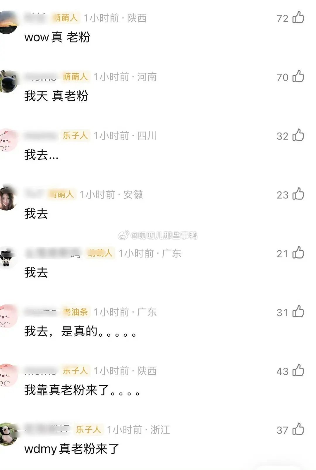 hcc十几年老粉脱粉回踩～