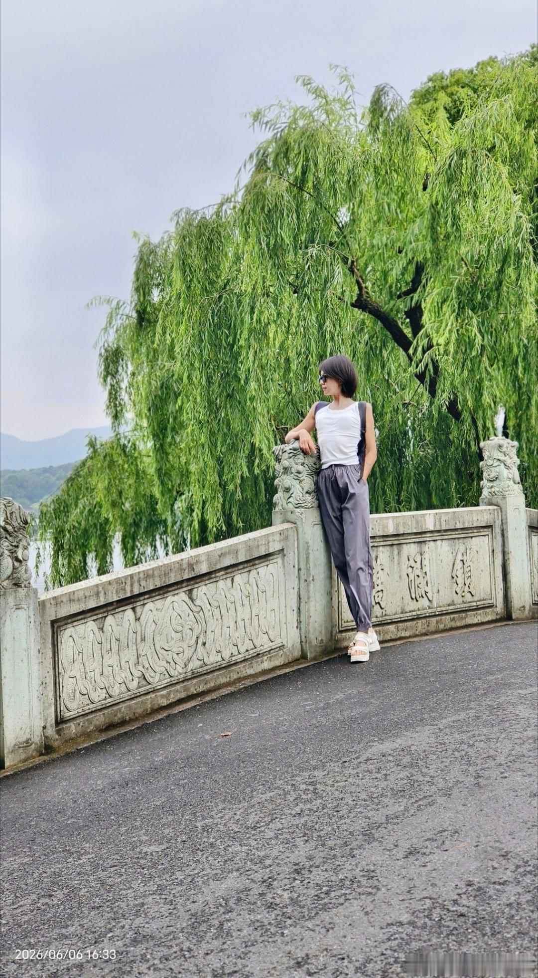 雨後的西湖超級涼爽，連🐿️都異常護活躍 杭州·杭州西湖风景名胜区苏堤