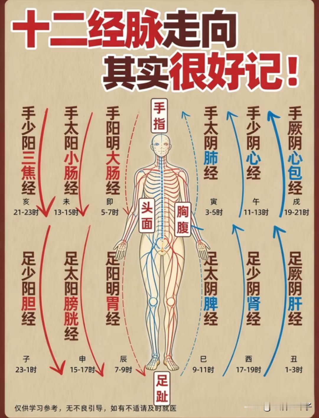 十二经络入门/跟着时辰养出好状态

▪十二经络走向：记住双手高举时，阴经往上走、