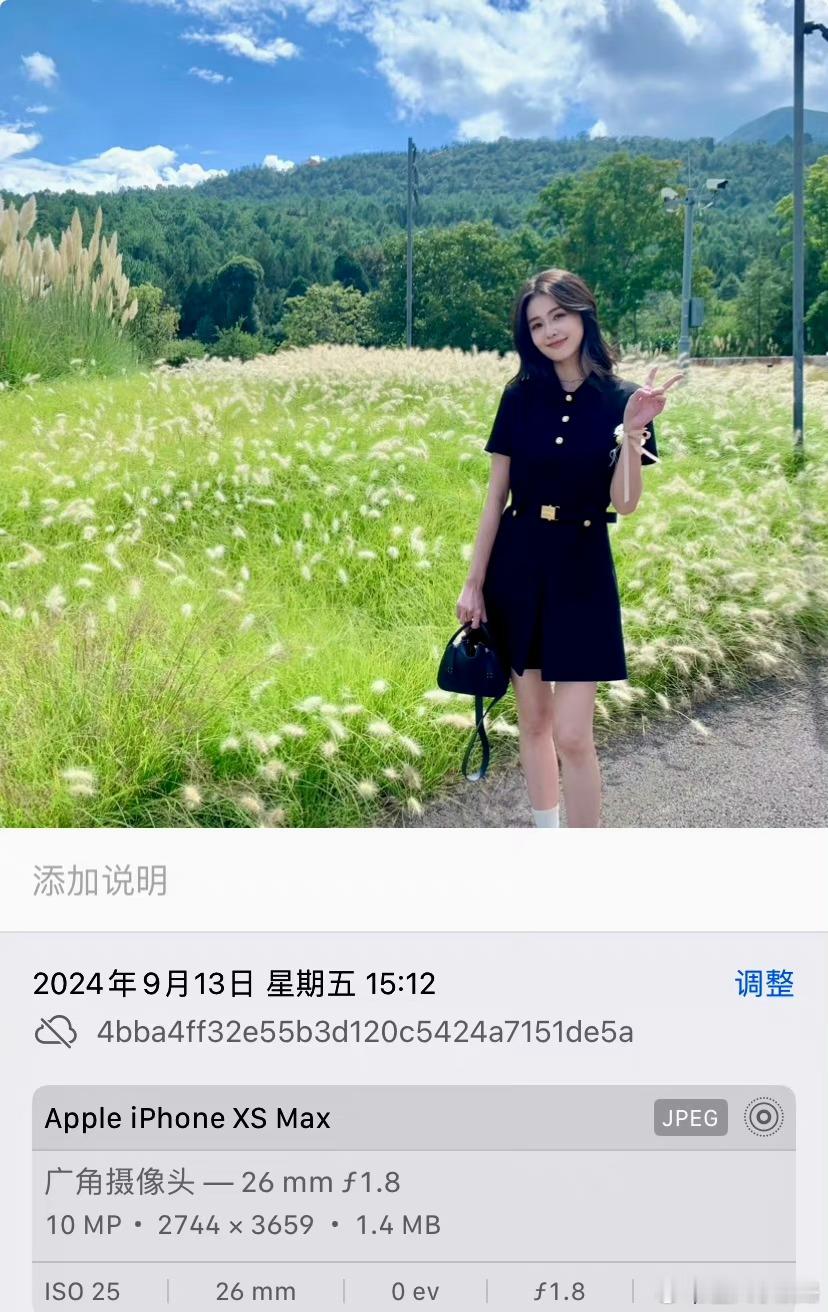 #陆虎婚礼上的白鹿# 白鹿和路虎两位也是有深厚的友谊啊！住友谊长存 ​​​