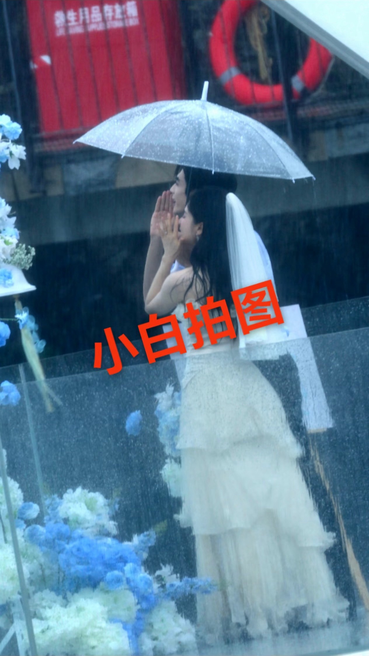 我原生家庭太美好了，老仪今天美的好萌嫩 