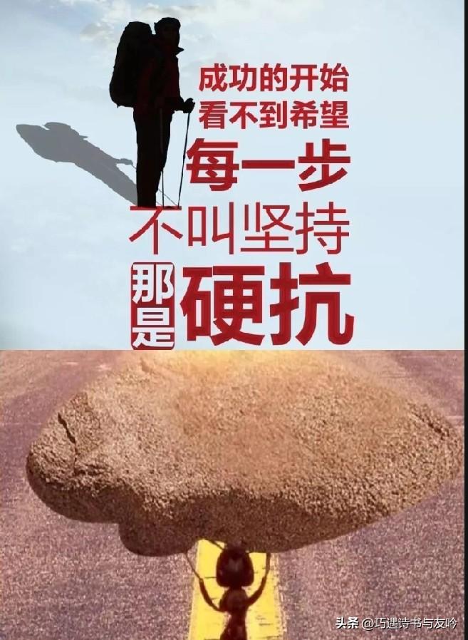 不怨命运，反求诸己

在人生的漫长旅途中，我们时常会遭遇失败，陷入困境。这时，有