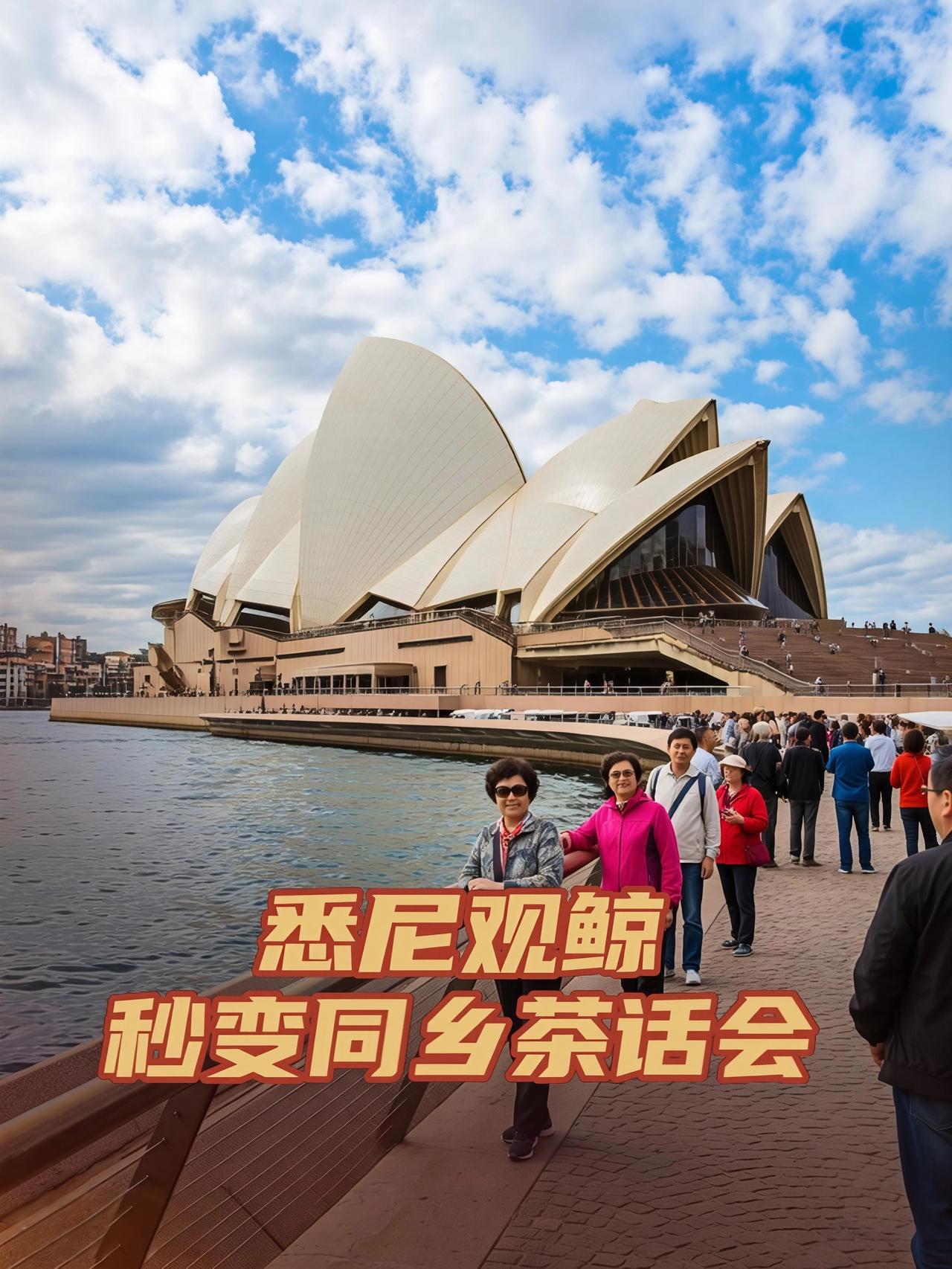 嘿呀！国庆那阵儿，咱中国游客可太能造了😜。就说澳大利亚悉尼那观鲸船吧，好家伙，