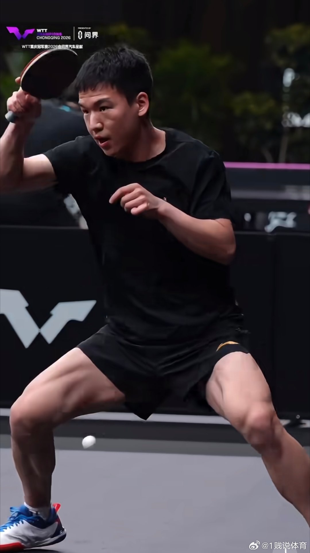 向鹏赢得男队第二次选拔赛冠军澳门世界杯没有向鹏，伦敦世乒赛选上了，还是多多锻炼，