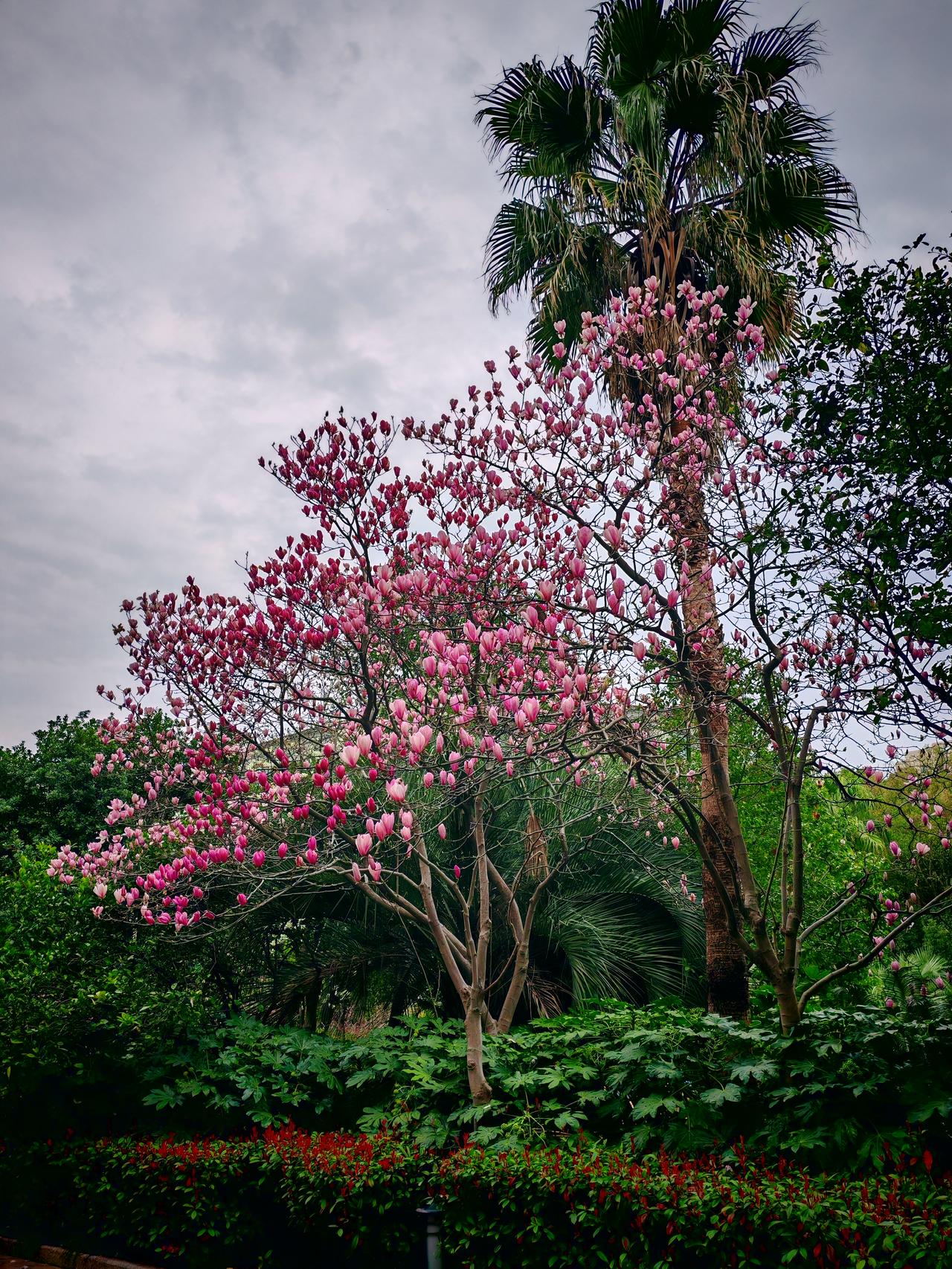 春日生活打卡季