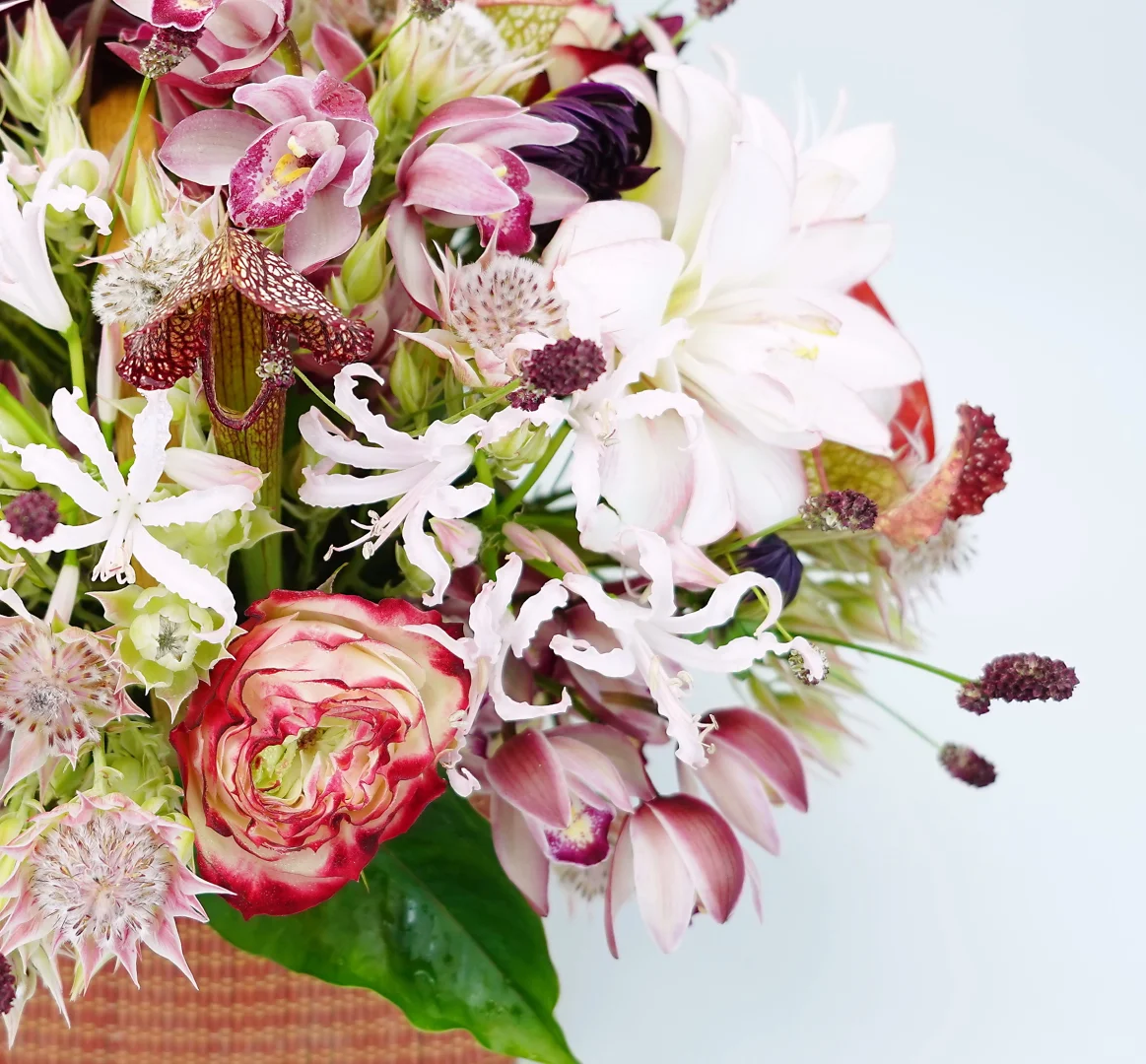 映入眼帘的不是花 是世间美好，是人间温柔