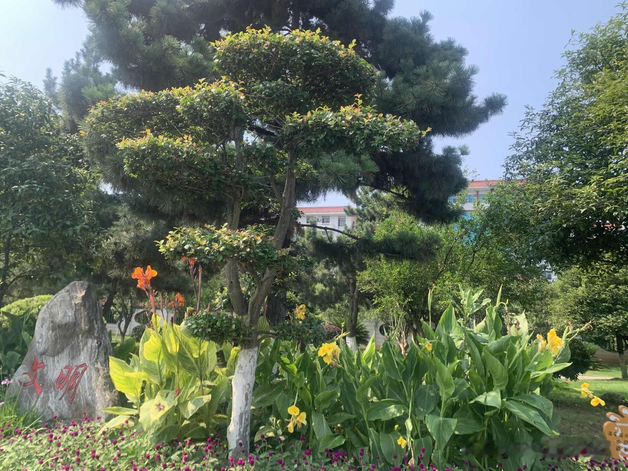 愿，也是中华民族的根本利益所在。和平统一、一国两制，是解决台湾问题的最佳方案，最
