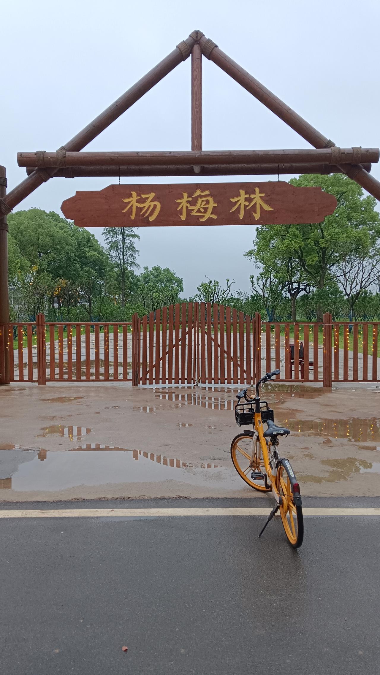 杨梅洲洲尾（靠窑湾端）的项目玩的人少，游客也少。今天去拍了几张照，看有朋友们喜欢
