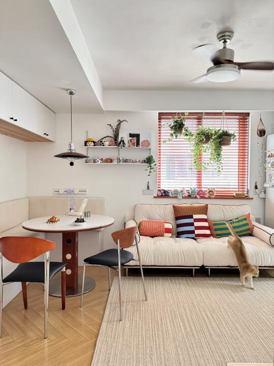 邻居说，整个老小区就你家含金量最高…😂