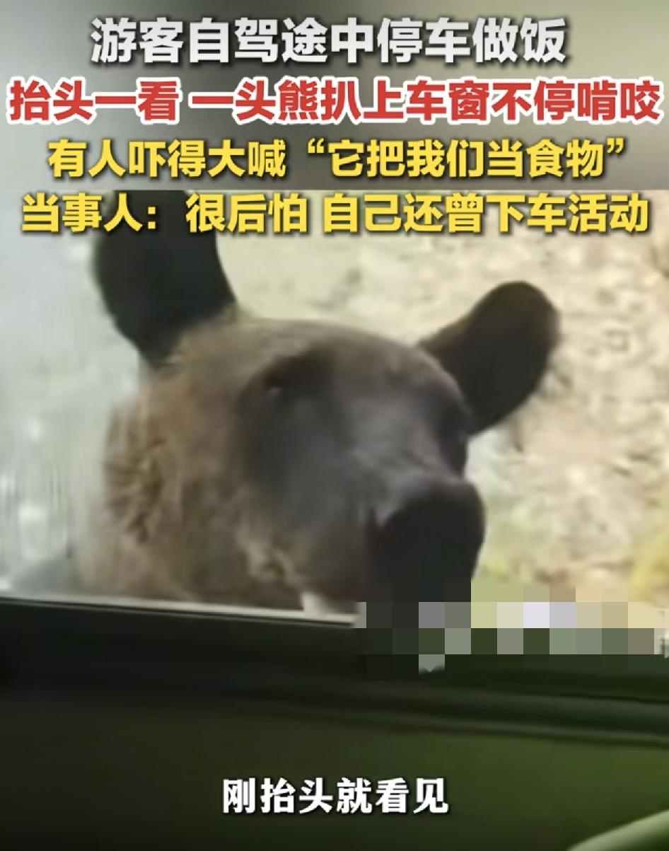 黑龙江大兴安岭，有网友自驾途中停车做饭，饭还没熟就看到有黑熊趴车窗。当时大家都被