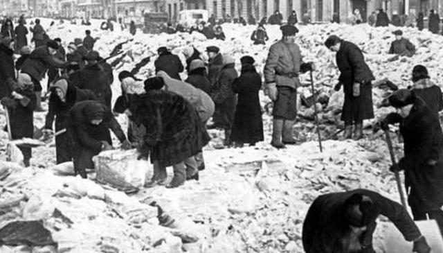 饥寒交迫，死亡如影随形，可某些角落，竟有人夜夜笙歌！

未登记的地下餐厅，在夜色