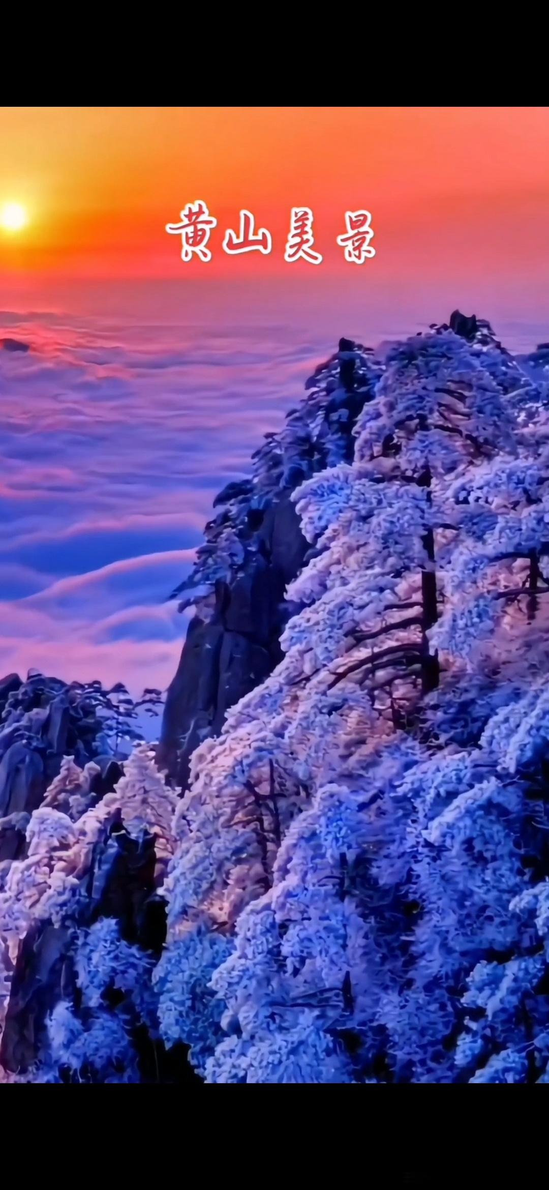 #情感#              《无题》傲霜凌劲节，含露古苔班。不及陶弘景，